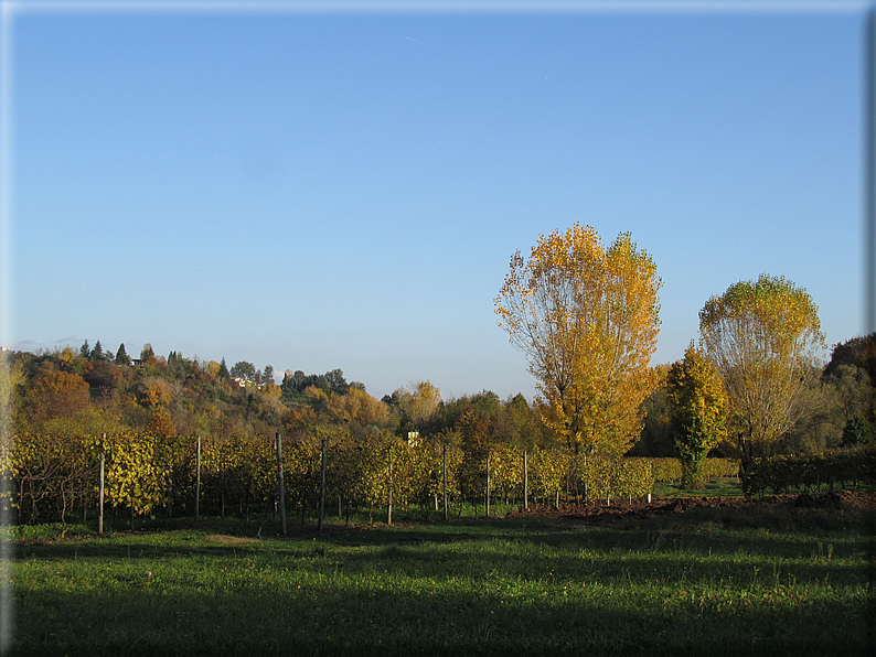 foto Paesaggi Autunnali tra le colline Fontesi